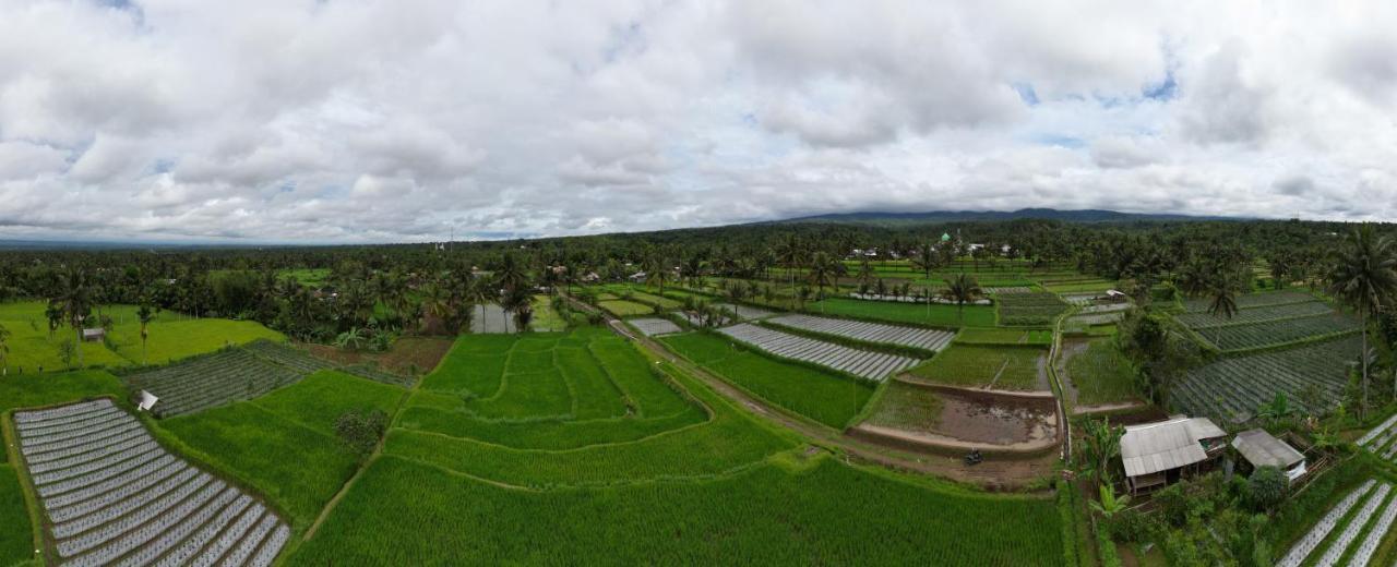 Green Haven Homestay Tetebatu Zimmer foto