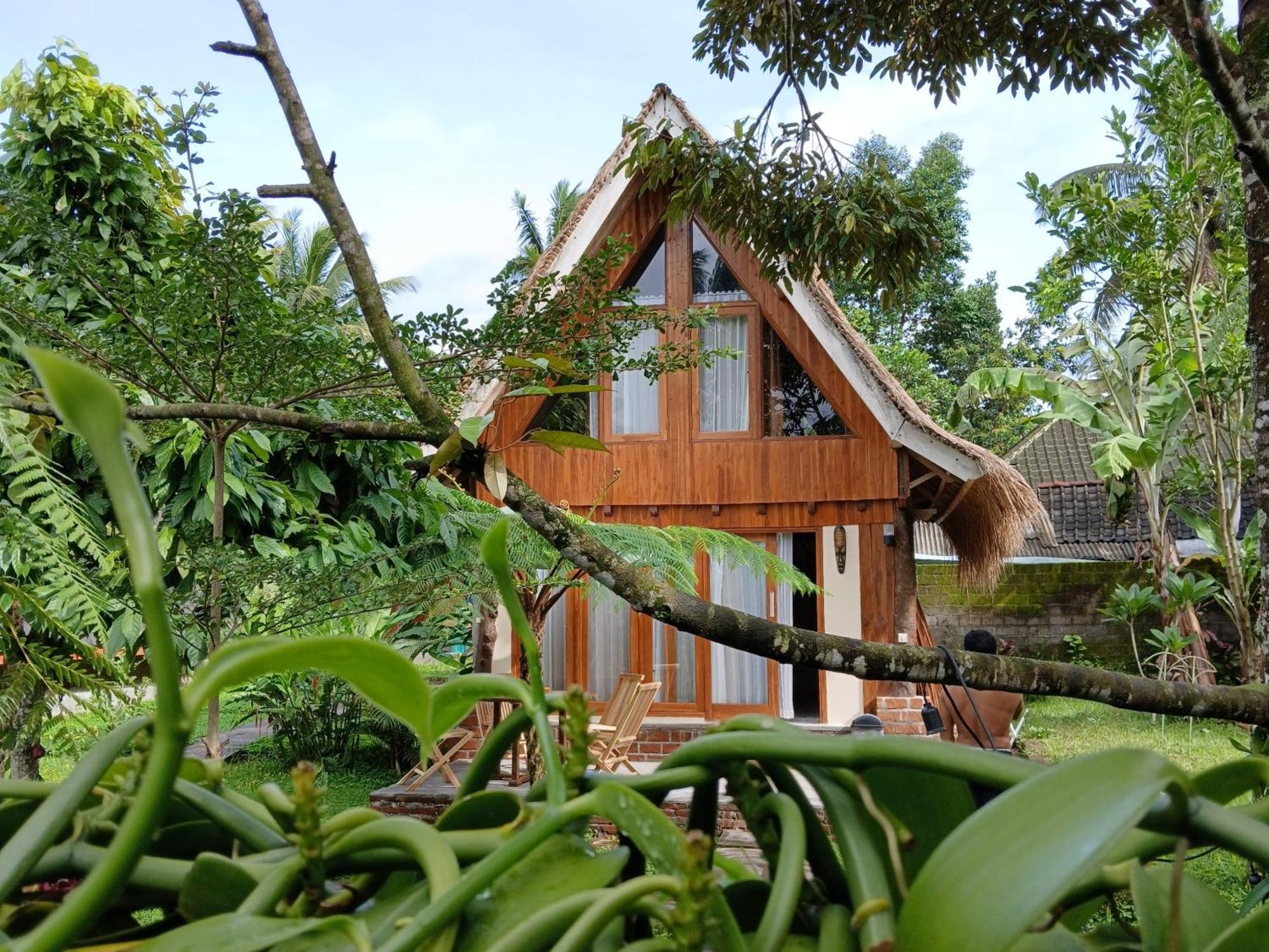 Green Haven Homestay Tetebatu Exterior foto